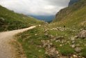 Fuente De area_20150609_001