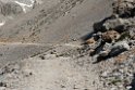 Fuente De.20150608_4840