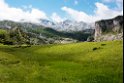 Lake Enol area.20160613_8326