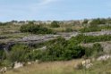 Las Tuerces.20160619_8112