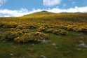 Montana Palentina.20160618_8484