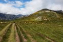 Montana Palentina.20160618_8486