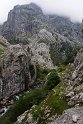 Picos de Europa.20160605_8601