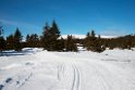 Landskab.20130303_2298