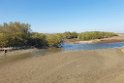 Liwa.20211125_094055