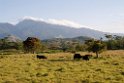 Volcan_PAN0144