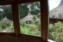 Ambua lodge.200923jul_0254