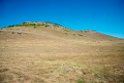 Steppeknold.20150803_5302