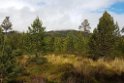 Cairngorm.20170619_132704(0)