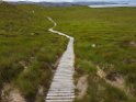 Handa Island.20170627_125305