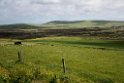 Orkney.20170623_8021