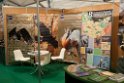 Bird Fair.201202mar_4738