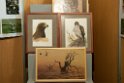 Bird Fair.201202mar_4739
