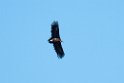 Munkegrib.20120301_8813