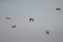 Stortrapper.201203mar_4406