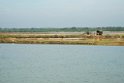 Bundala salt pans.20131201_0451