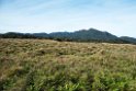 Hortons Plains.20131129_0260