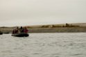 2507 Lågøya Hvalros17