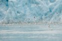 3107 Monacobreen21