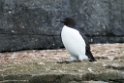 Polarlomvie_20130706_1459