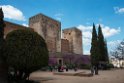 Alhamdra.20170328_6682