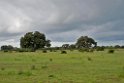 Donana.20170326_6686
