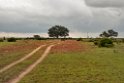 Donana.20170326_6690