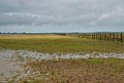 Donana.20170326_6699