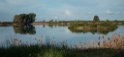 Laguna de Tarelo.20170324_6707