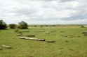 Manyara landskab00