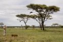 Ndutu Erik