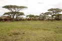 Ndutu lodge00_1