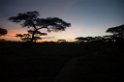 Ndutu solnedgang
