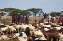 Serengeti Masai by00