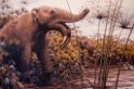 Serengeti Museum07