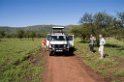 Serengeti Safaribil