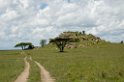 Serengeti landskab00