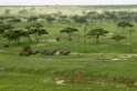 Tarangira Elefant04