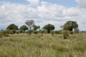 Tarangira Landskab06
