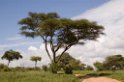 Tarangira landskab02