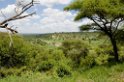 Tarangira lodge05