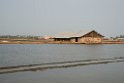Pak Thale.20140224_7849