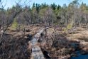 Billingen.201109apr_9788