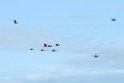 Traner.201110apr_9784