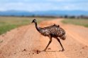 Australia 2010