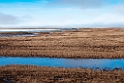Barrow.20120615_2467
