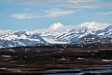 Denali Hwy.20120618_2769