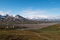 Denali N.P.20120620_2953