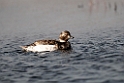 Havlit.20120613_2325