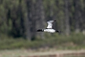 Islom.20120618_2754